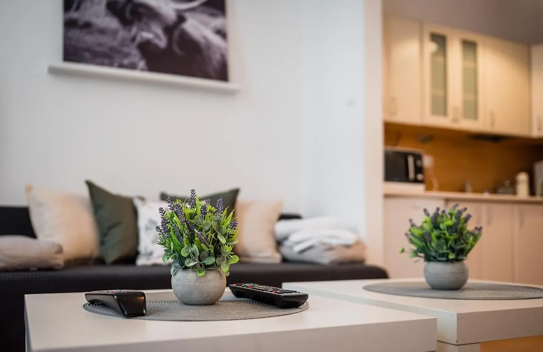 Apartment Krakowska City Center WAWELOFTS-1